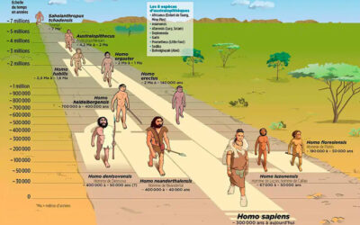 Chronologie humaine
